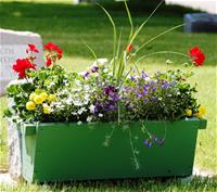 Flower box on grave