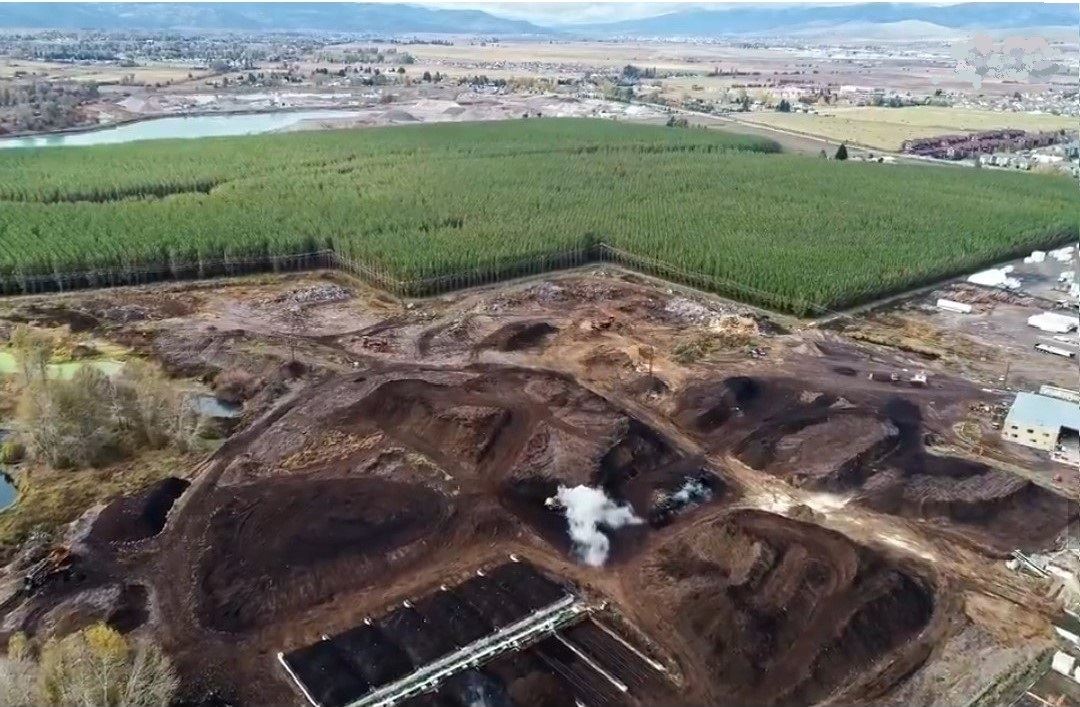 2020-1-17 Hybrid Poplars Nat Geo Crop