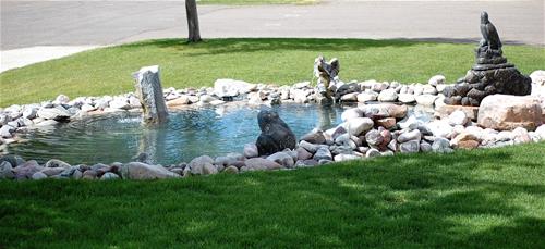 Front pond with animals