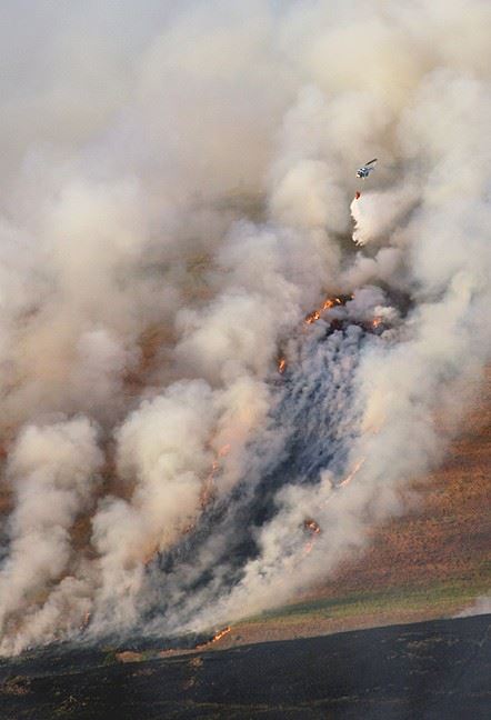 Mount Sentinel Fire - photo taken by citizen