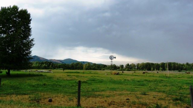 View of windmill in open field