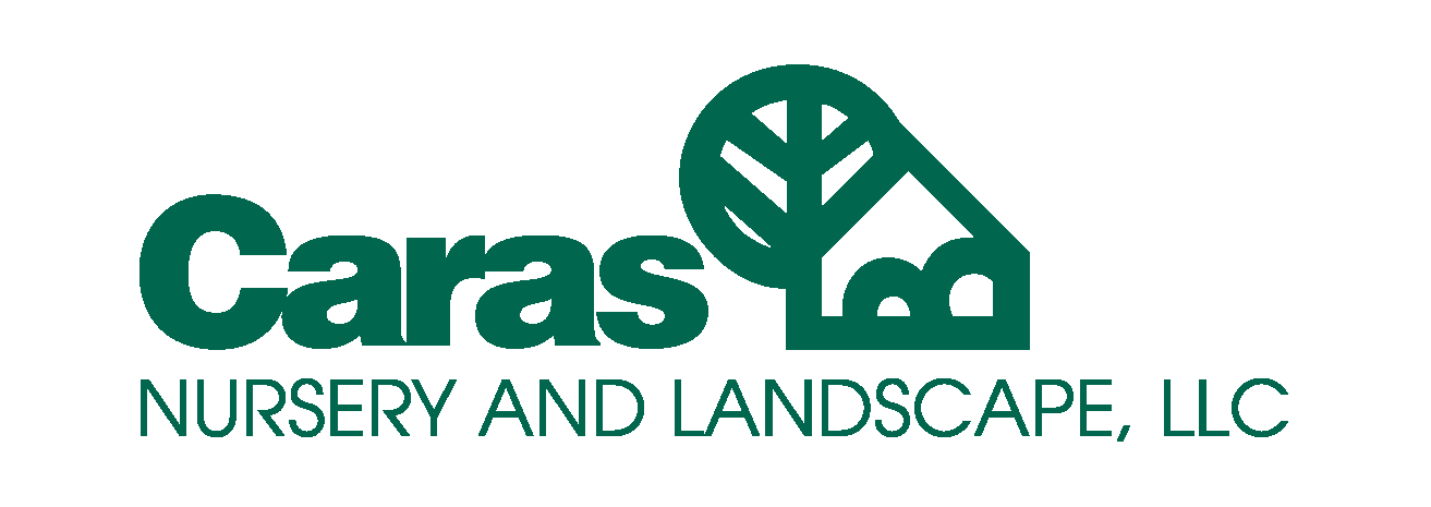 caras logo pyramid - Copy