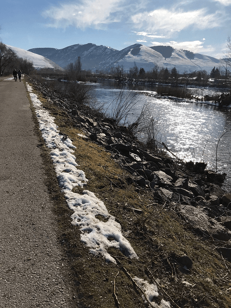 Levee V after vegetation removal 