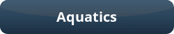 aquatics button
