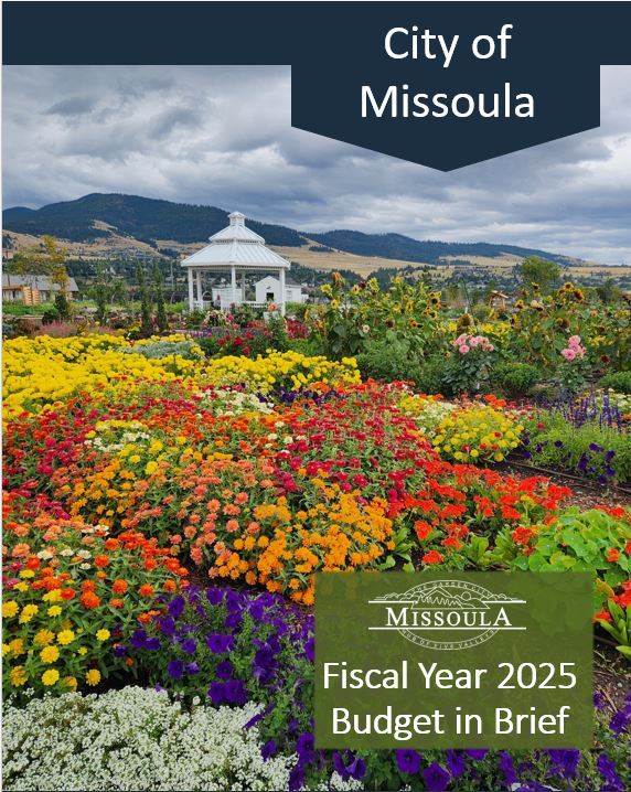 Budget in Brief FY25 